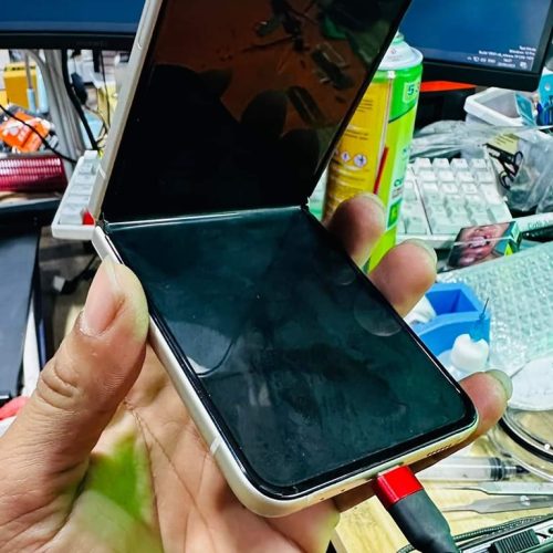 381426798_739170554888397_4019551318296464854_n